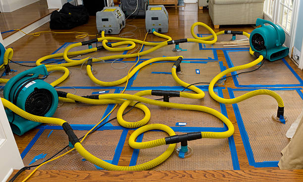 Professional Basement Flood Cleanup technician working in Johnsonburg, PA